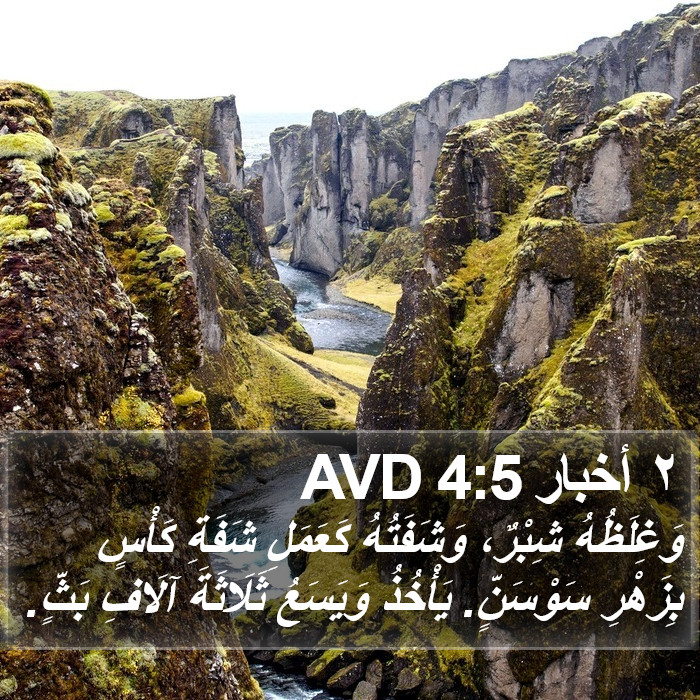 ٢ أخبار 4:5 AVD Bible Study