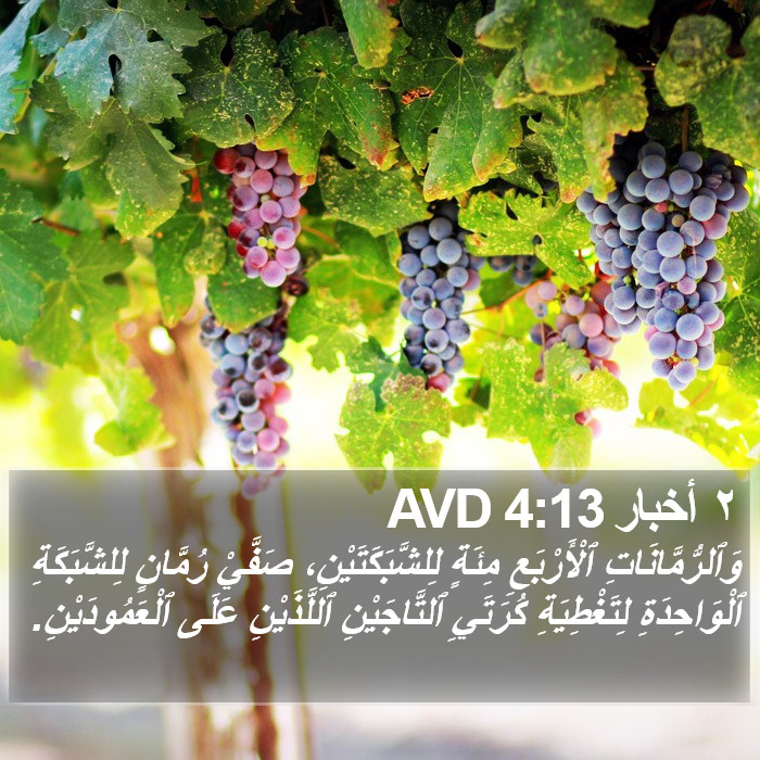 ٢ أخبار 4:13 AVD Bible Study