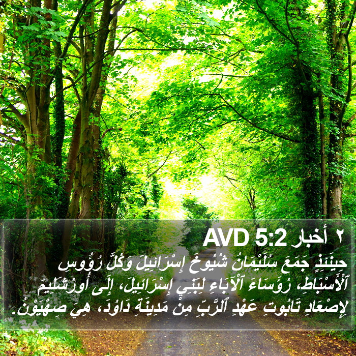 ٢ أخبار 5:2 AVD Bible Study