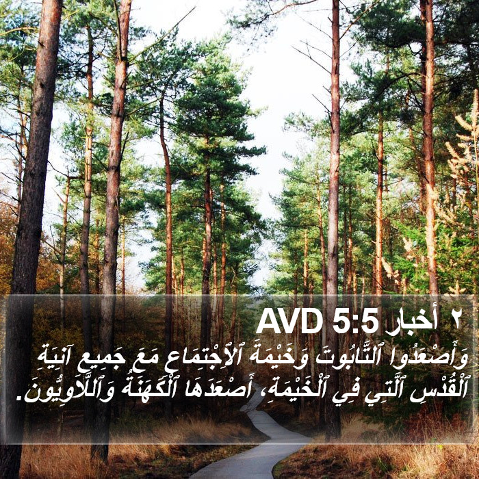 ٢ أخبار 5:5 AVD Bible Study