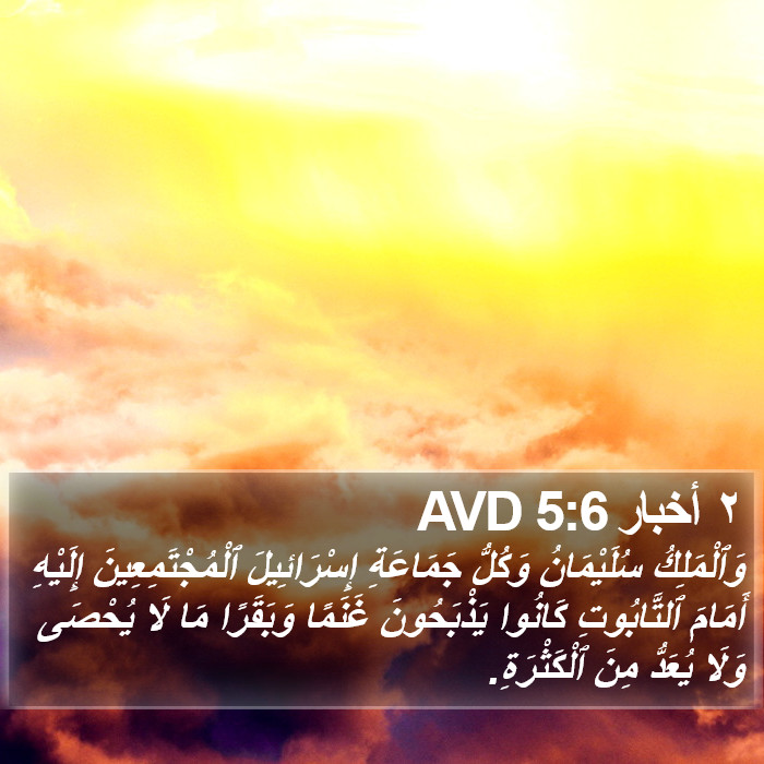 ٢ أخبار 5:6 AVD Bible Study