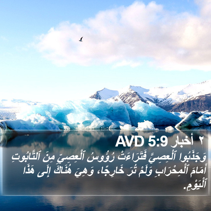 ٢ أخبار 5:9 AVD Bible Study