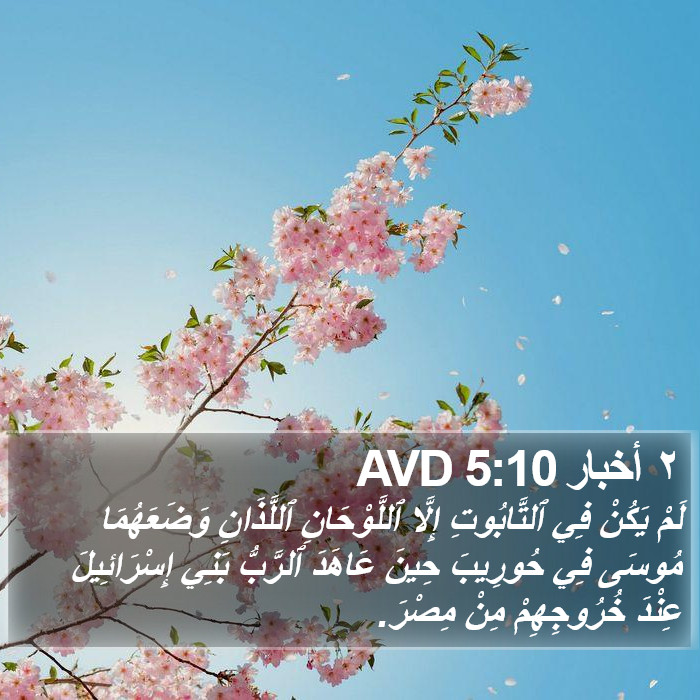 ٢ أخبار 5:10 AVD Bible Study