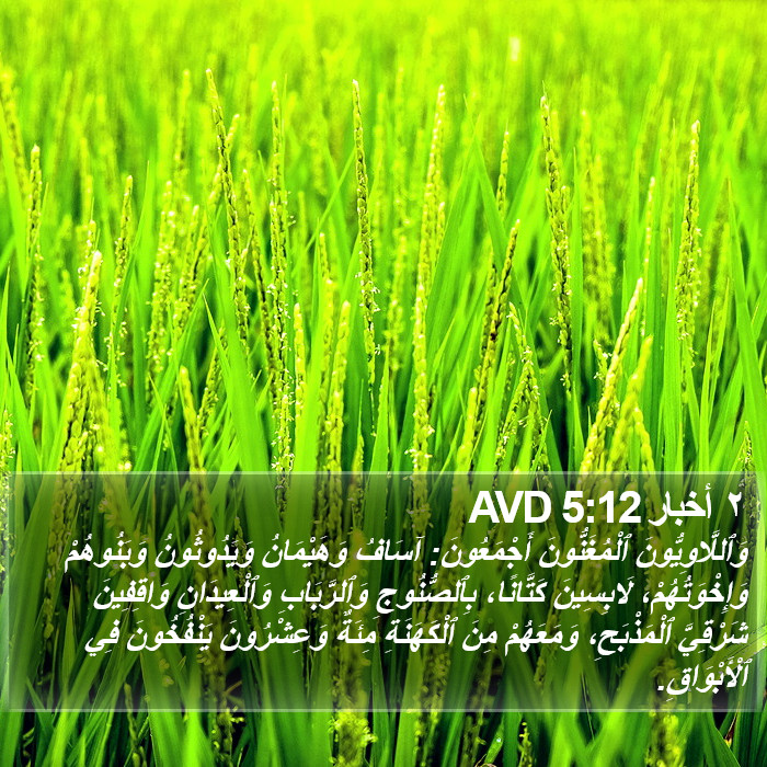٢ أخبار 5:12 AVD Bible Study