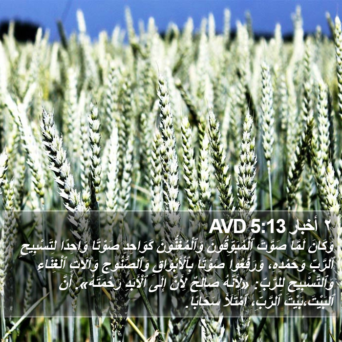 ٢ أخبار 5:13 AVD Bible Study