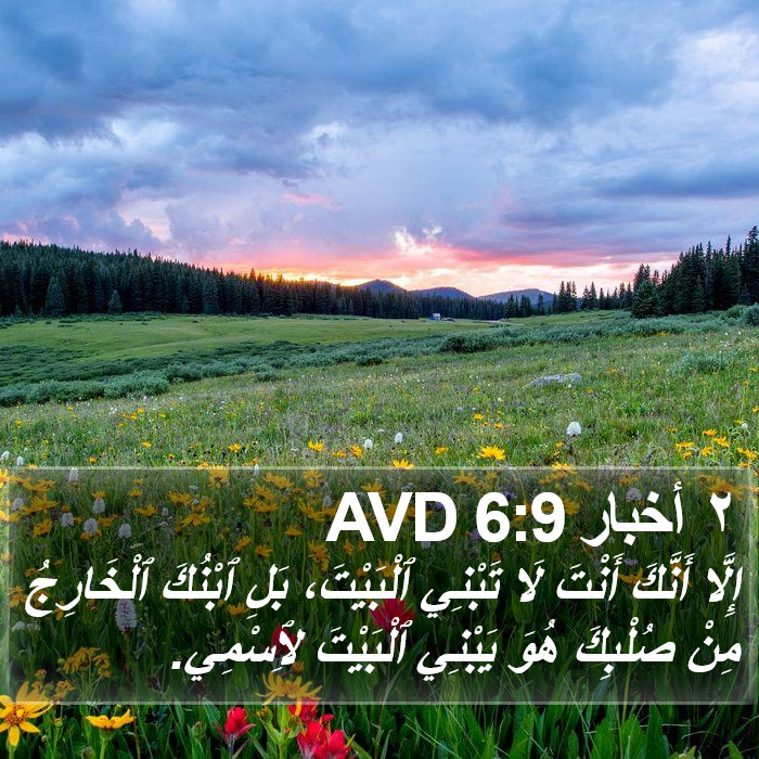 ٢ أخبار 6:9 AVD Bible Study