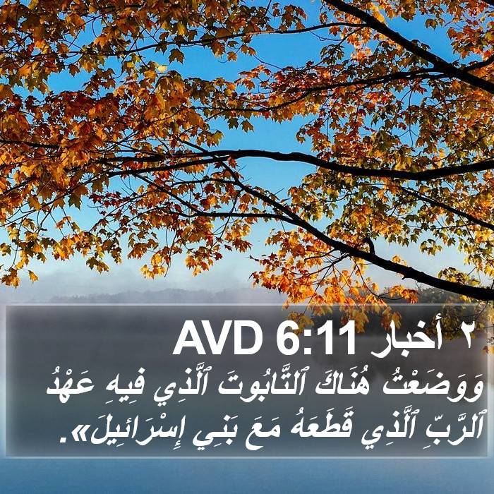 ٢ أخبار 6:11 AVD Bible Study