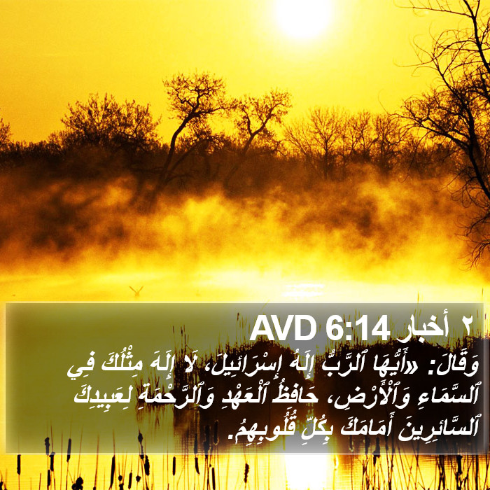 ٢ أخبار 6:14 AVD Bible Study