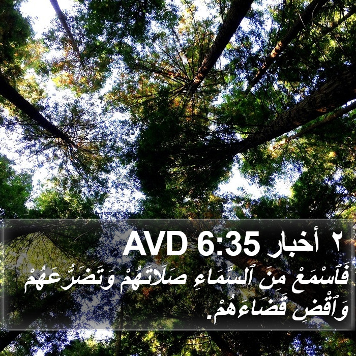 ٢ أخبار 6:35 AVD Bible Study