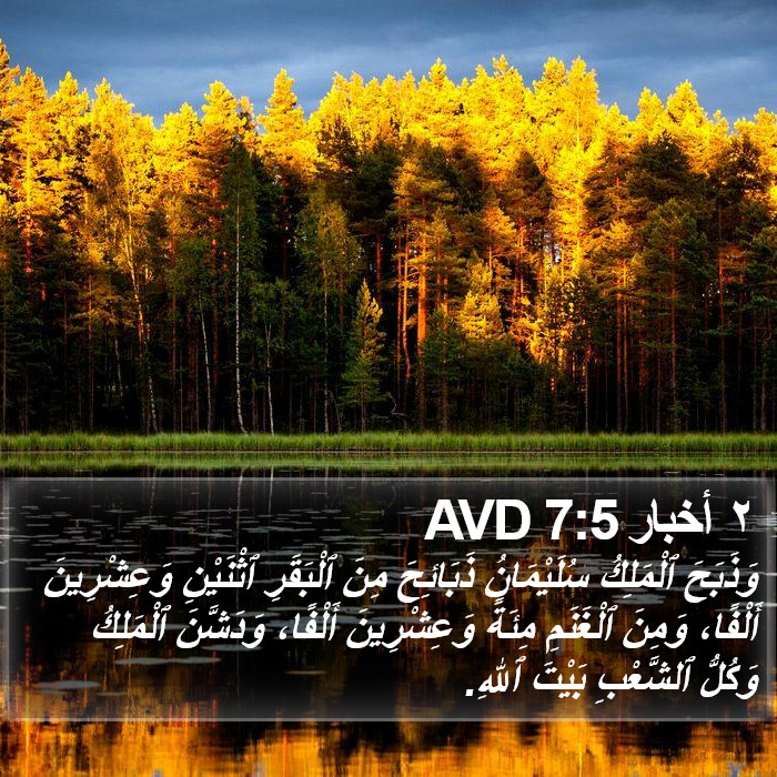٢ أخبار 7:5 AVD Bible Study