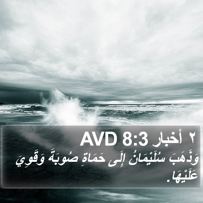 ٢ أخبار 8:3 AVD Bible Study