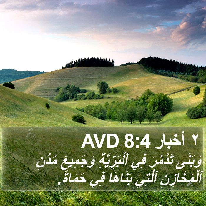 ٢ أخبار 8:4 AVD Bible Study