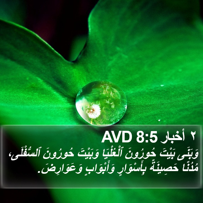 ٢ أخبار 8:5 AVD Bible Study