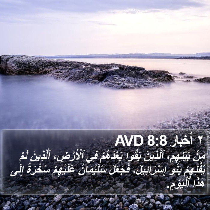 ٢ أخبار 8:8 AVD Bible Study