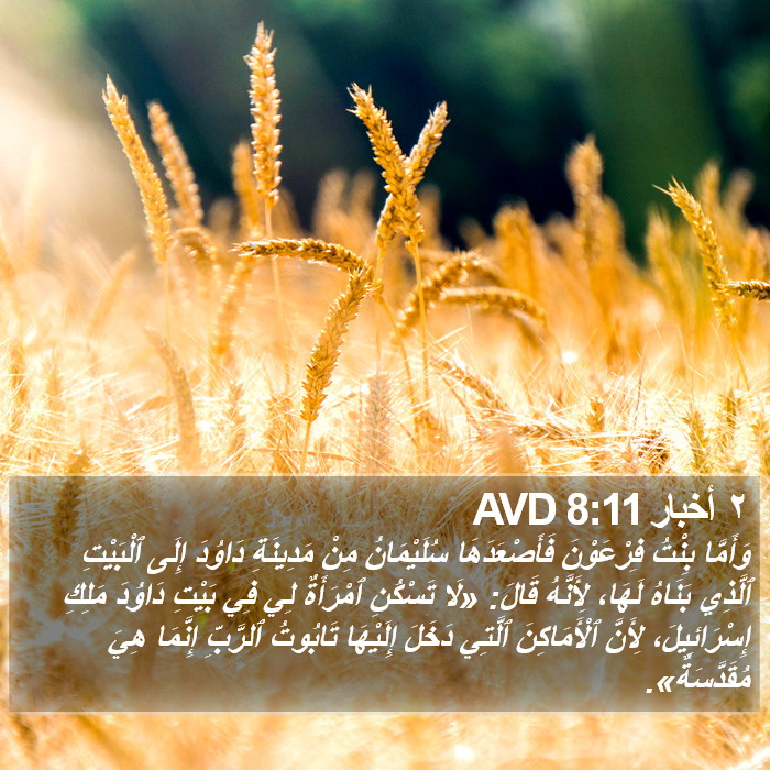 ٢ أخبار 8:11 AVD Bible Study