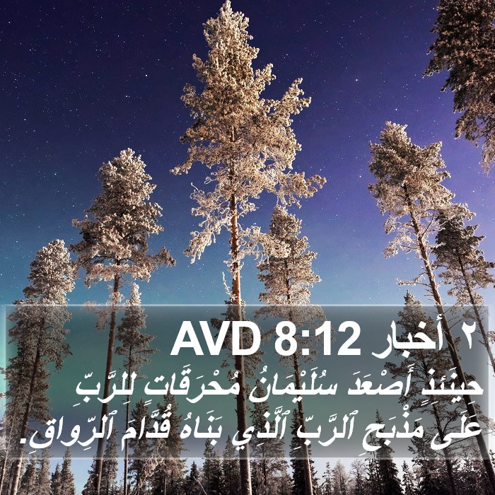 ٢ أخبار 8:12 AVD Bible Study