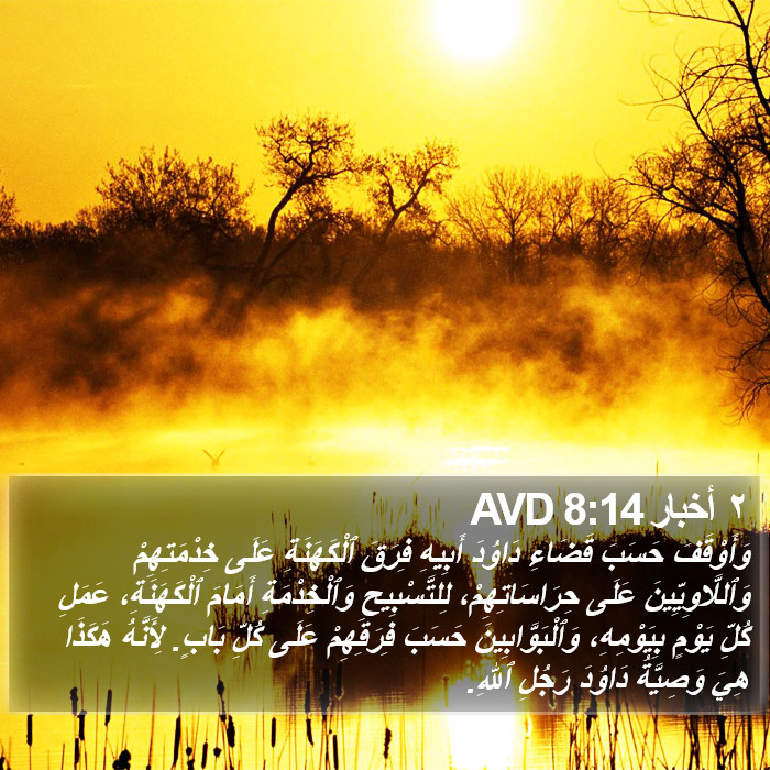 ٢ أخبار 8:14 AVD Bible Study