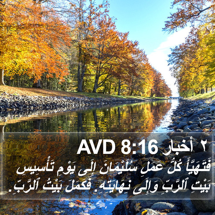 ٢ أخبار 8:16 AVD Bible Study