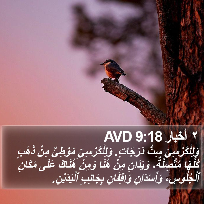 ٢ أخبار 9:18 AVD Bible Study