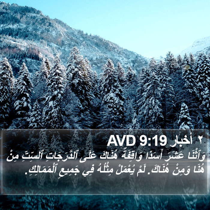 ٢ أخبار 9:19 AVD Bible Study