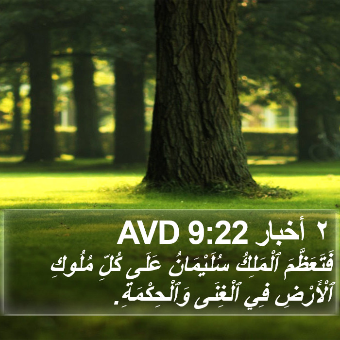 ٢ أخبار 9:22 AVD Bible Study
