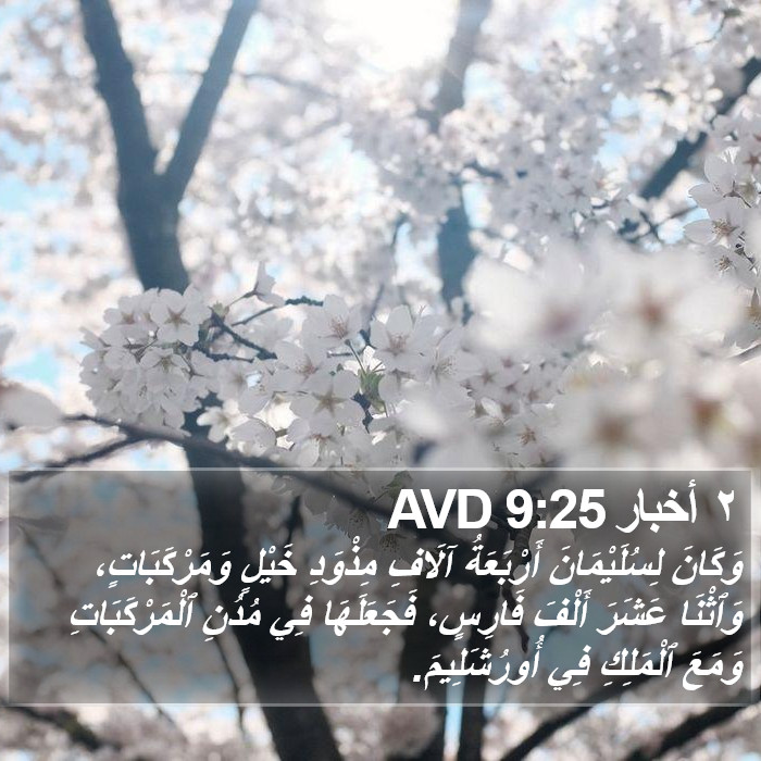 ٢ أخبار 9:25 AVD Bible Study