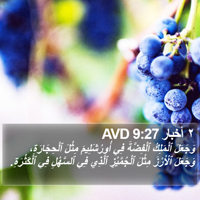 ٢ أخبار 9:27 AVD Bible Study