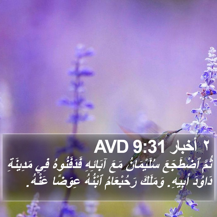 ٢ أخبار 9:31 AVD Bible Study