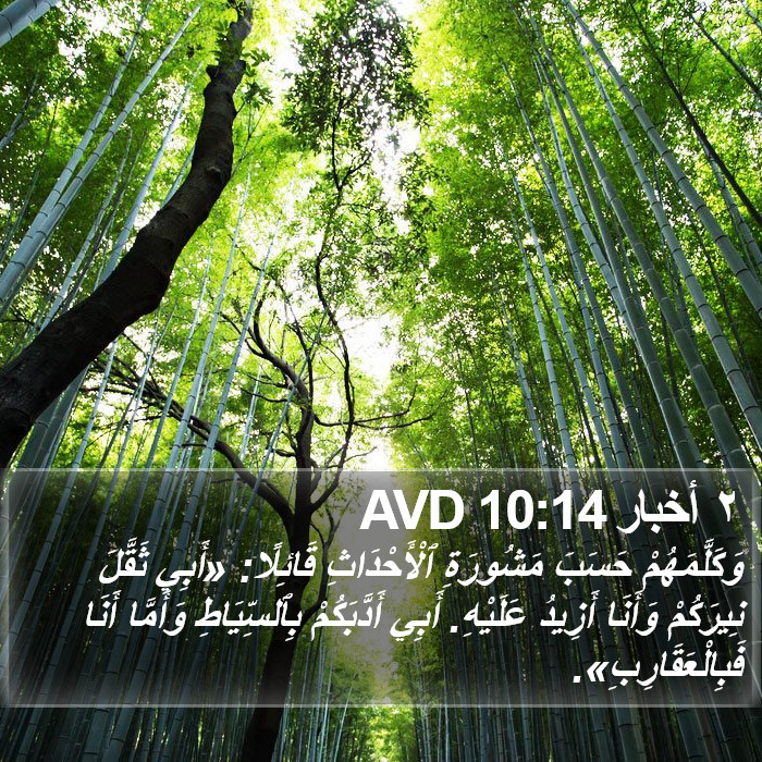 ٢ أخبار 10:14 AVD Bible Study