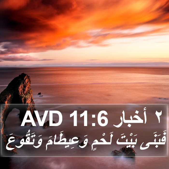 ٢ أخبار 11:6 AVD Bible Study