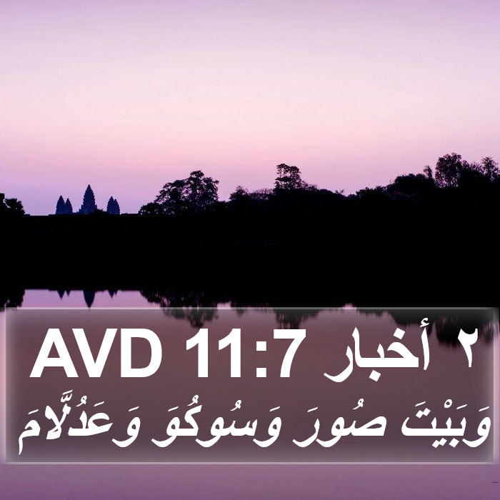 ٢ أخبار 11:7 AVD Bible Study