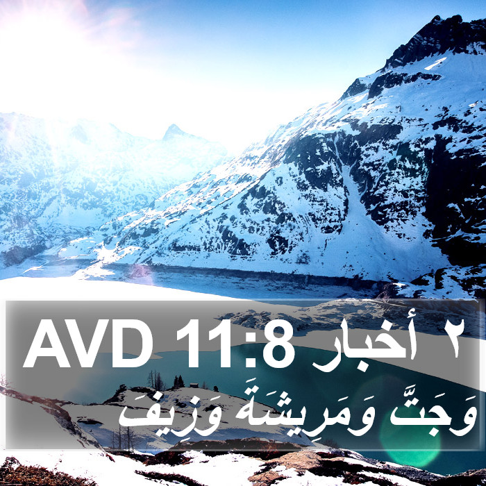 ٢ أخبار 11:8 AVD Bible Study