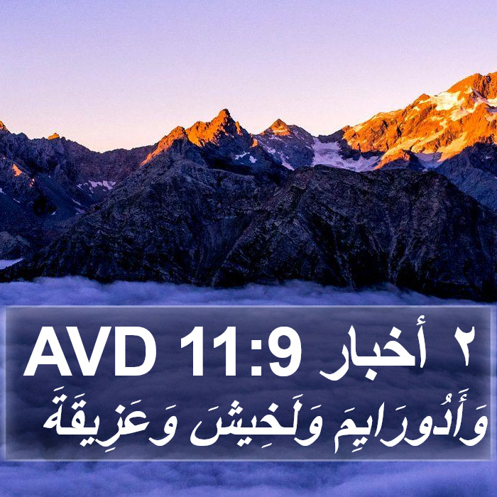 ٢ أخبار 11:9 AVD Bible Study