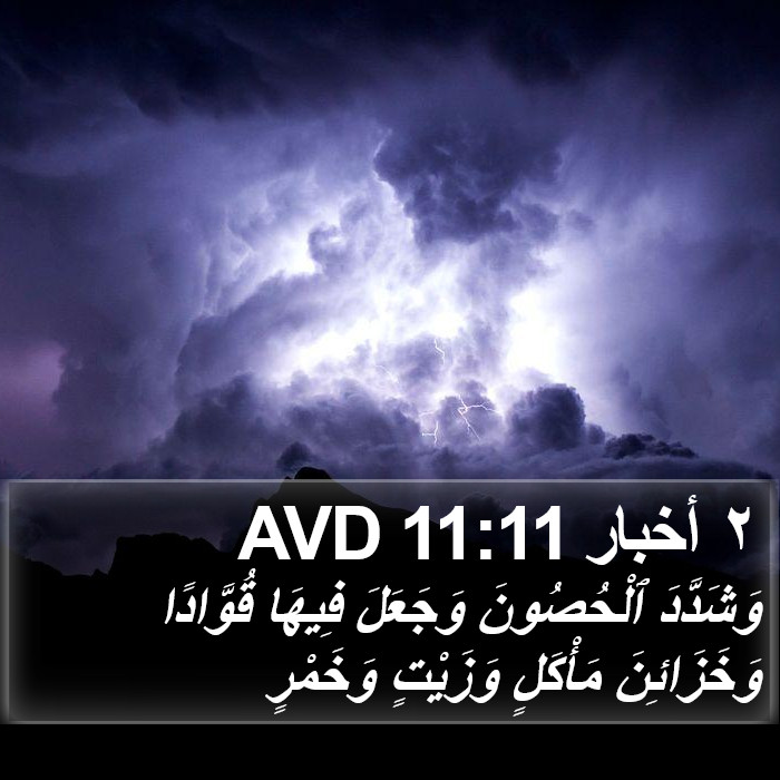٢ أخبار 11:11 AVD Bible Study