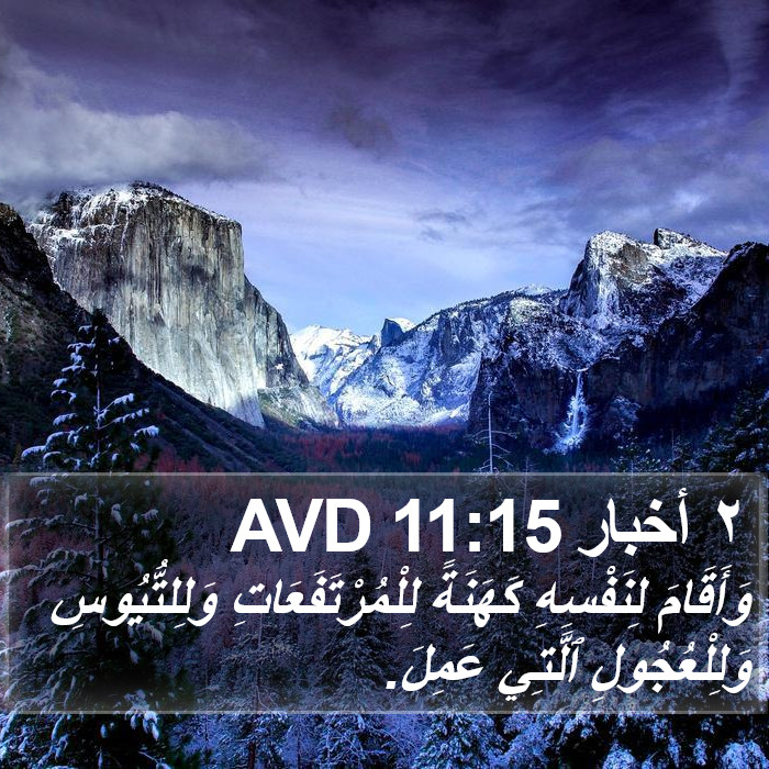 ٢ أخبار 11:15 AVD Bible Study
