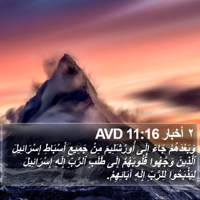 ٢ أخبار 11:16 AVD Bible Study
