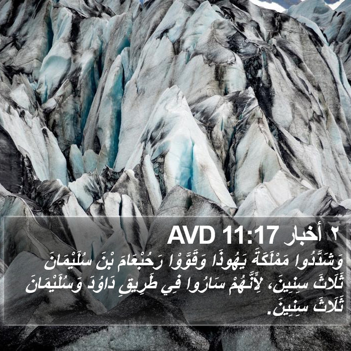 ٢ أخبار 11:17 AVD Bible Study