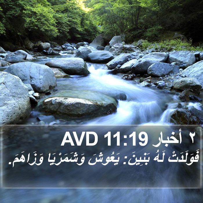 ٢ أخبار 11:19 AVD Bible Study