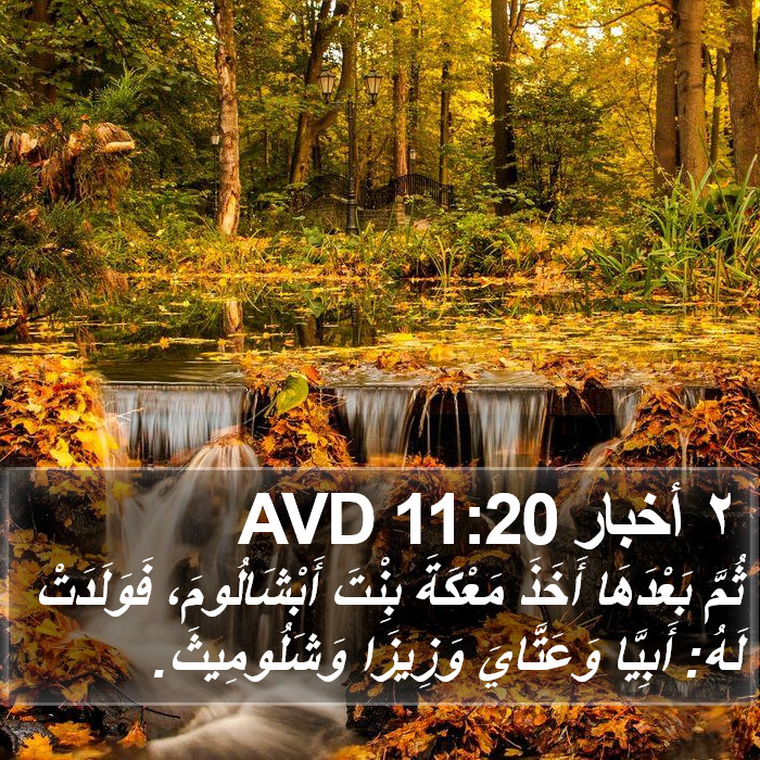 ٢ أخبار 11:20 AVD Bible Study