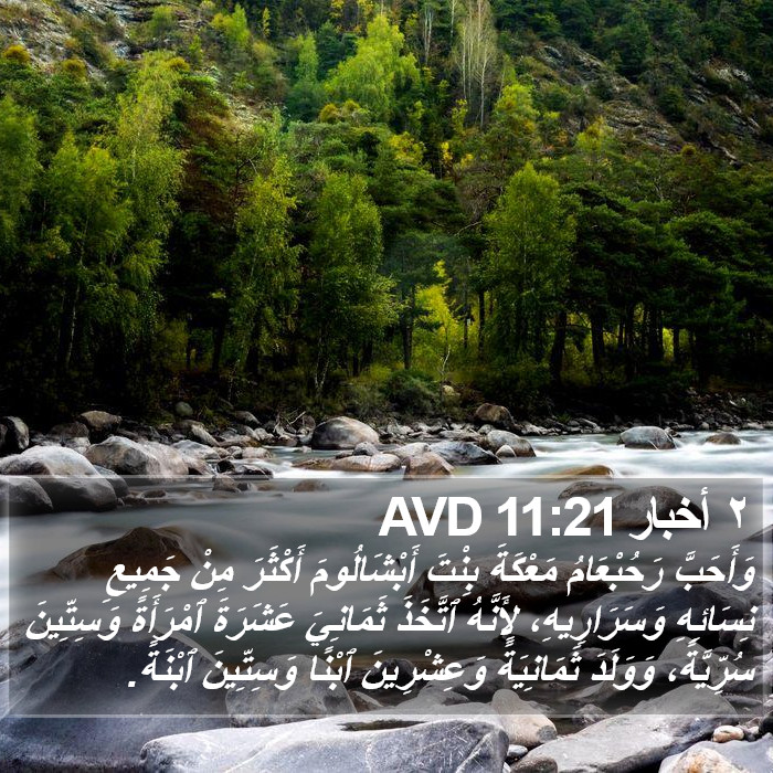 ٢ أخبار 11:21 AVD Bible Study