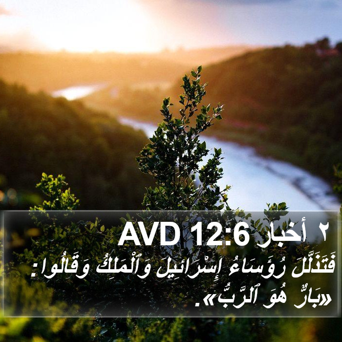 ٢ أخبار 12:6 AVD Bible Study