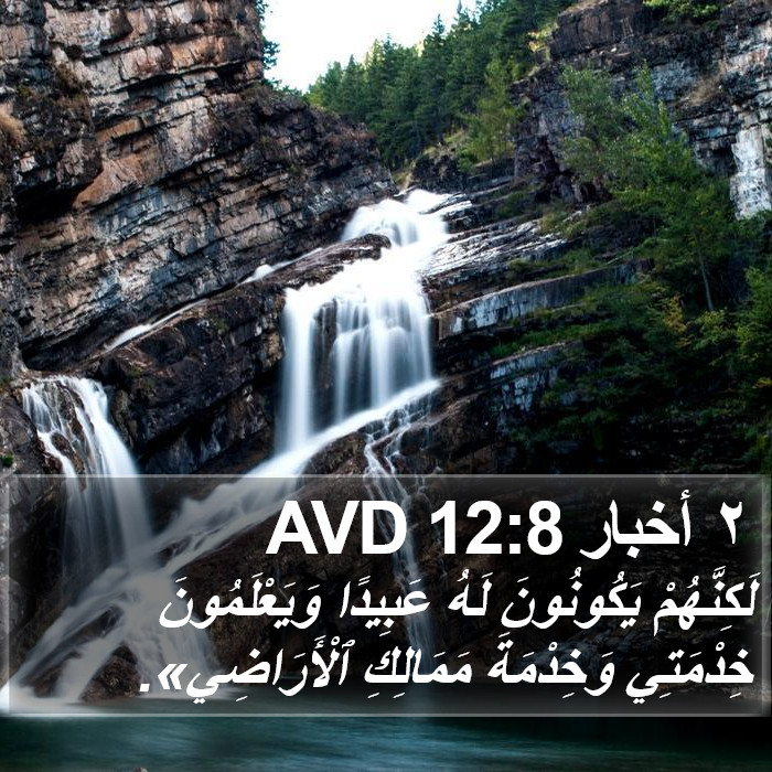 ٢ أخبار 12:8 AVD Bible Study