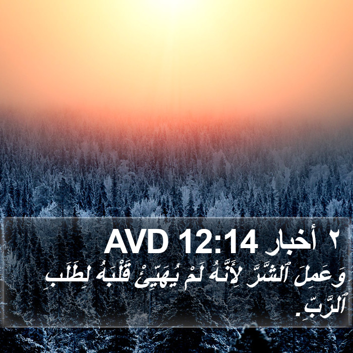 ٢ أخبار 12:14 AVD Bible Study