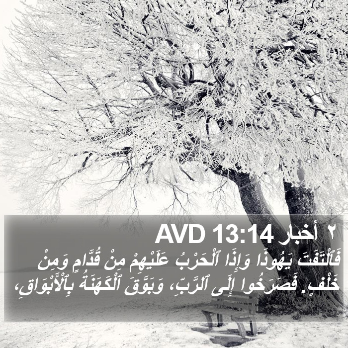 ٢ أخبار 13:14 AVD Bible Study