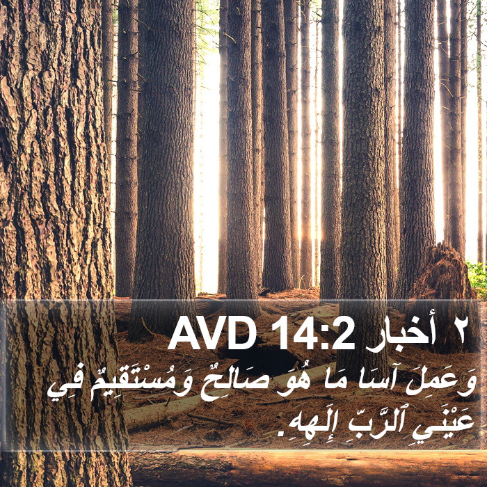 ٢ أخبار 14:2 AVD Bible Study