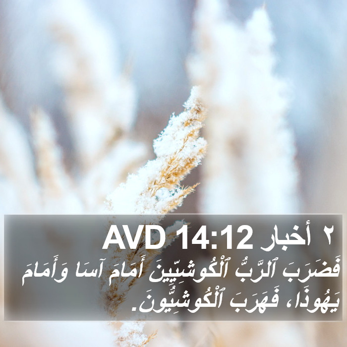 ٢ أخبار 14:12 AVD Bible Study