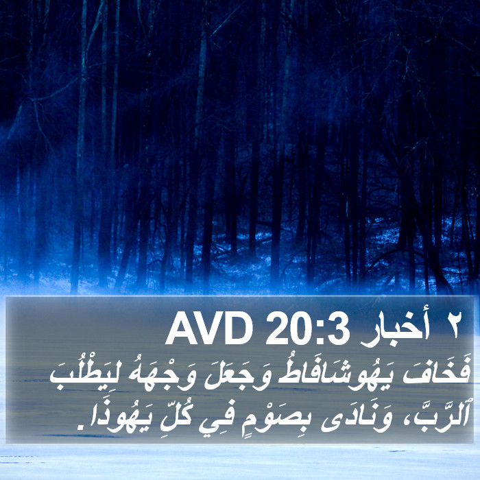 ٢ أخبار 20:3 AVD Bible Study