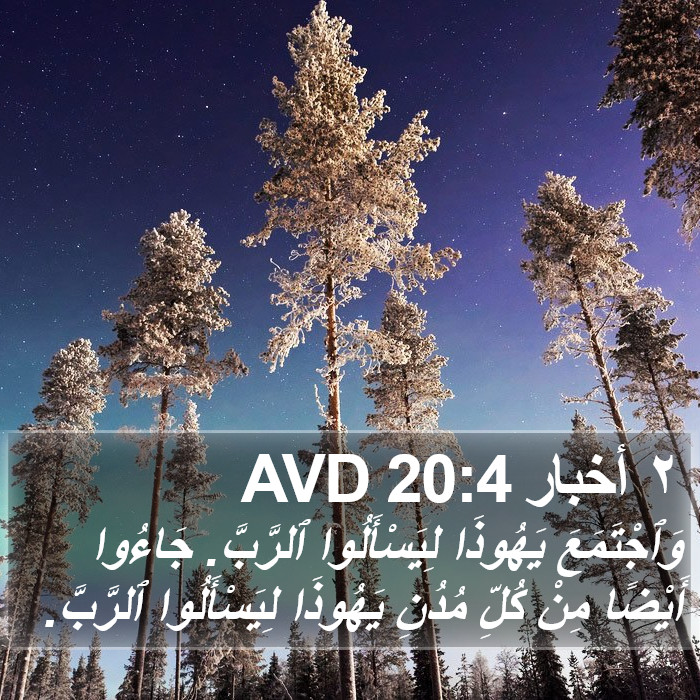 ٢ أخبار 20:4 AVD Bible Study