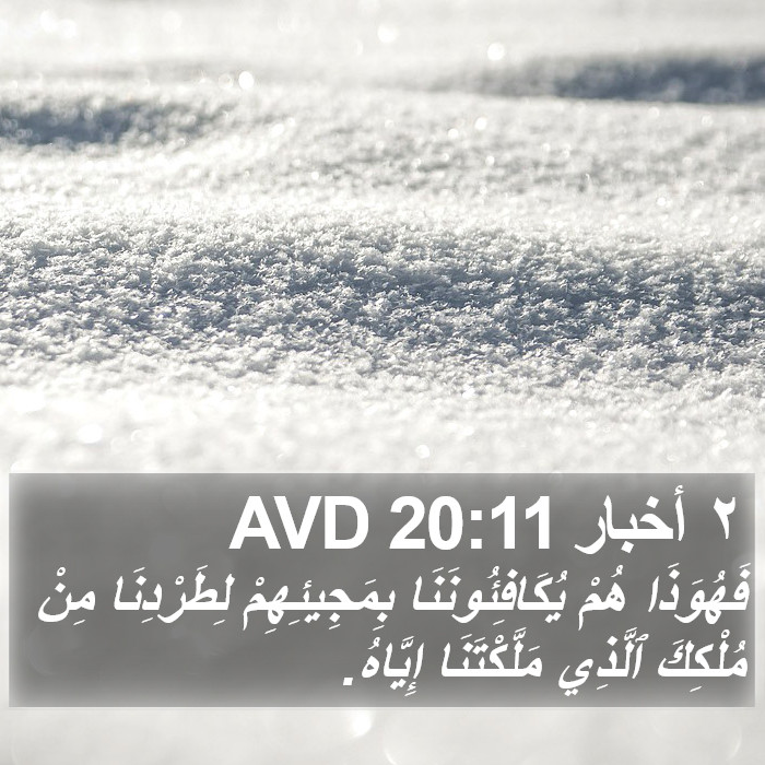 ٢ أخبار 20:11 AVD Bible Study