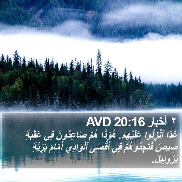 ٢ أخبار 20:16 AVD Bible Study